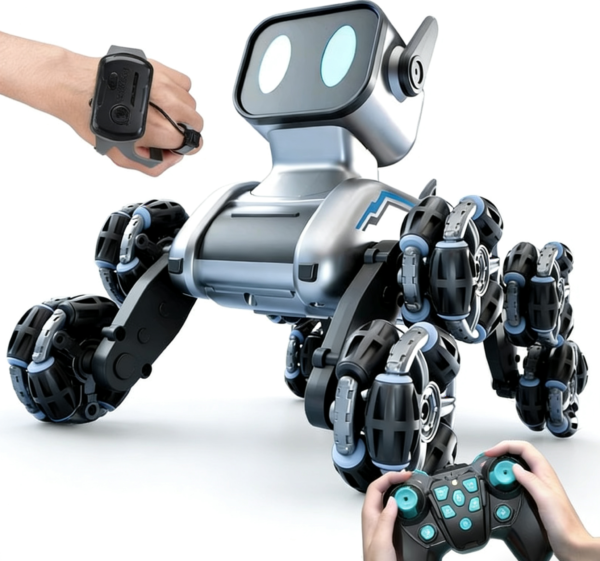 Magic speed dog Magic speed dog